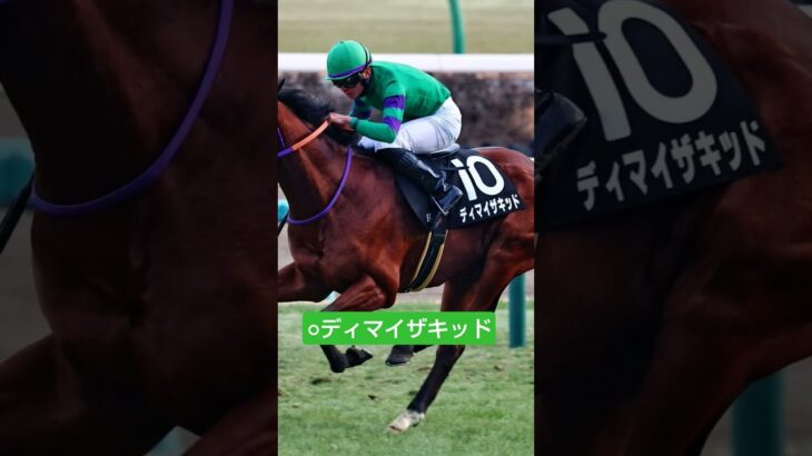 宣伝部の新潟大賞典予想印#競馬#中央競馬予想