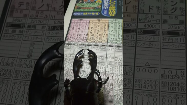 カブクワ競馬予想(ヴィクトリアマイル)