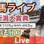 【競馬】新潟大賞典 京都ハイジャンプ 走法分析 京都競馬 東京競馬 新潟競馬【中央競馬ライブ】