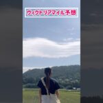 【ヴィクトリアマイル予想】みなさんの本命も教えてください！！#競馬予想 #ヴィクトリアマイル