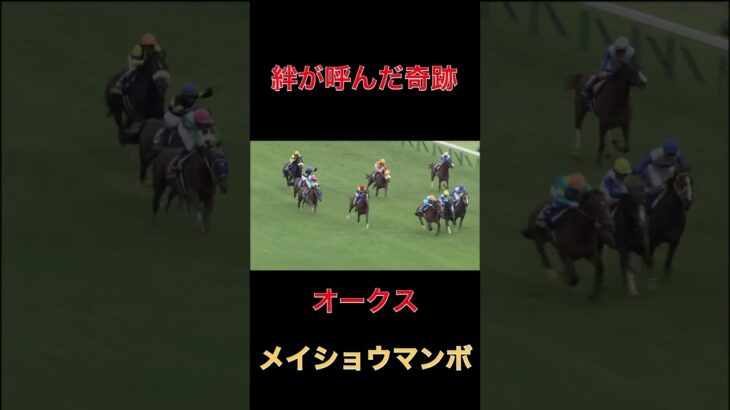 絆が呼んだ奇跡メイショウマンボ【オークス】#競馬#予想#馬券