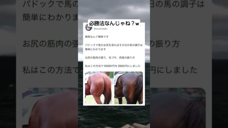 これで試してくる　#競馬 #競馬予想 #ギャンブル #パチンコ #予想