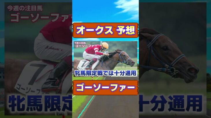 オークスで狙える穴馬!! ゴーソーファー　#競馬 #競馬予想 #オークス