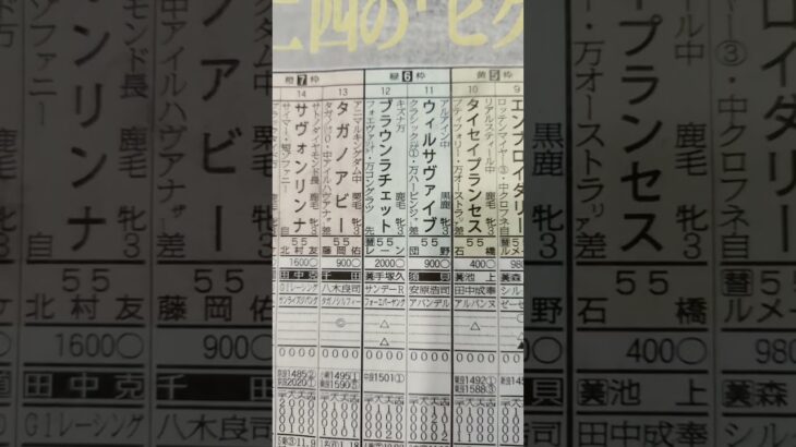 競馬予想（オークス）