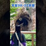 【平安ステークス予想】みなさんの本命も教えてください！！#競馬予想 #平安ステークス