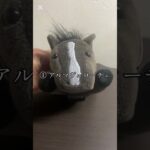 オークス予想動画‼︎ #競馬 #競馬予想