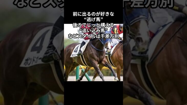 競馬雑学 競馬 #競馬 #競馬予想【借金王と社長】