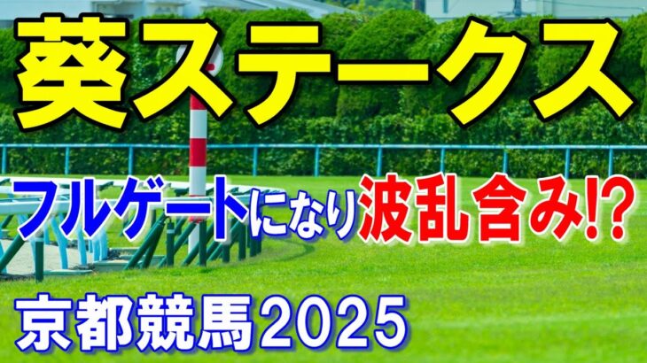 葵ステークス２０２５【京都競馬予想】高配含みのレースで狙って勝負します！！