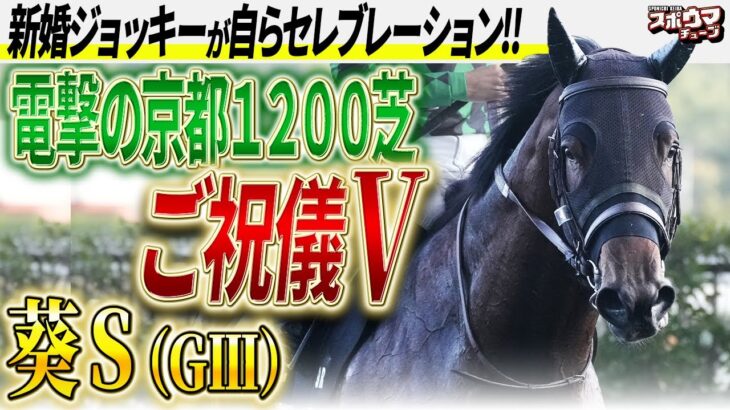 スポニチ競馬予想【葵Ｓ】仙波記者がガチ予想！！