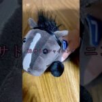 日本ダービー予想動画‼︎ #競馬 #競馬予想