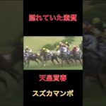 隠れていた素質スズカマンボ【天皇賞】#競馬#予想#馬券