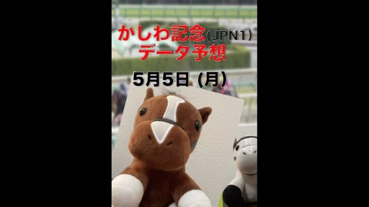 【データ競馬予想】かしわ記念の頭はあの一頭しかいない！#競馬 #競馬予想 #地方競馬 #船橋競馬 #かしわ記念 #振り向き界隈