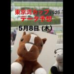 【競馬予想】東京ダービーの出走権をかけた東京湾カップ！本命は地元船橋のあの馬！#競馬 #競馬予想 #地方競馬 #船橋競馬 #東京湾カップ#振り向き界隈