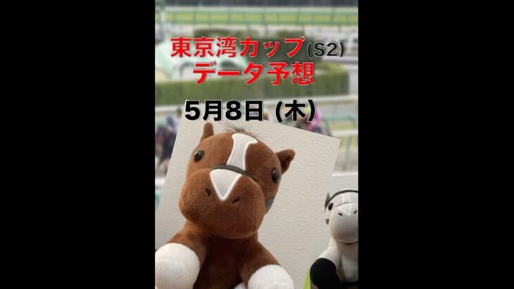 【競馬予想】東京ダービーの出走権をかけた東京湾カップ！本命は地元船橋のあの馬！#競馬 #競馬予想 #地方競馬 #船橋競馬 #東京湾カップ#振り向き界隈