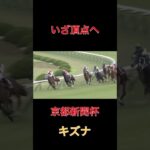 いざ頂点へ、キズナ【京都新聞杯】#競馬#予想#馬券