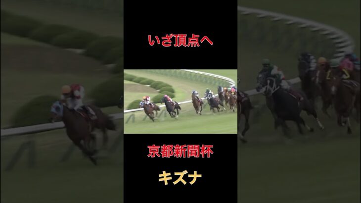 いざ頂点へ、キズナ【京都新聞杯】#競馬#予想#馬券