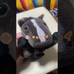 京都新聞杯予想動画‼︎ #競馬 #競馬予想
