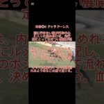 おやこ競馬のエプソムカップ本命発表。 #競馬 #競馬予想 #エプソムカップ #ドゥラドーレス#ジューンテイク