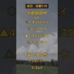 【京都新聞杯】稍重での予想です。参考程度に・・・。#京都新聞杯 #競馬 #予想