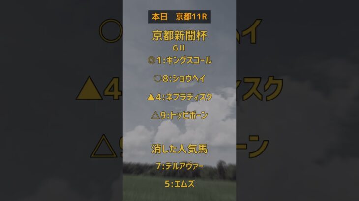 【京都新聞杯】稍重での予想です。参考程度に・・・。#京都新聞杯 #競馬 #予想