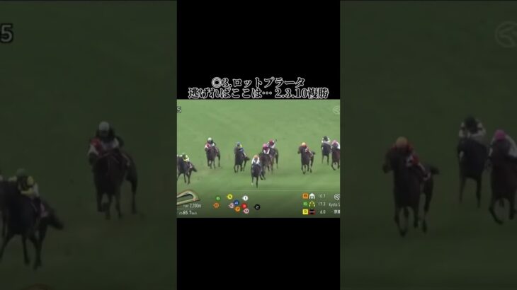 京都新聞杯の結果、本当の駆け込みへ #競馬 #競馬結果 #中央競馬 #中央競馬予想 #京都競馬 #京都競馬場 #京都競馬予想 #京都新聞杯