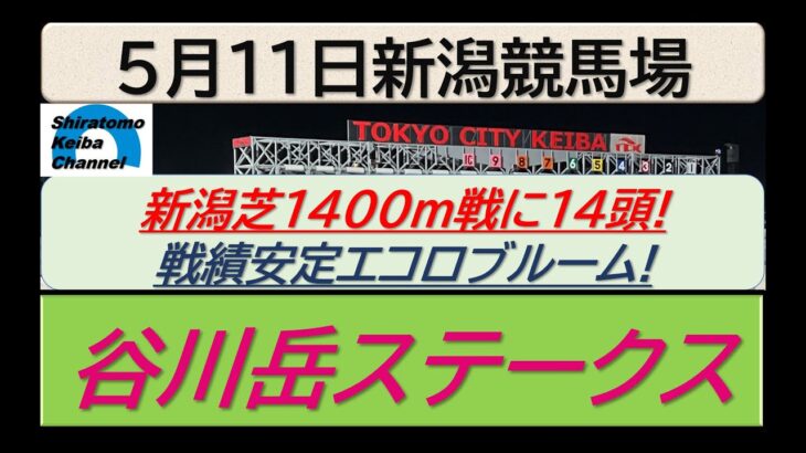 【競馬予想】谷川岳ステークス～２０２５年５月１１日新潟競馬場 ：５－３