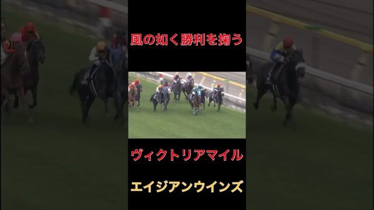 風の如く勝利を掬うエイジアンウインズ【ヴィクトリアマイル】#競馬#予想#馬券