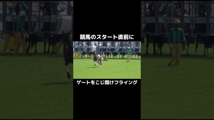 【競馬】ゲートをこじ開けフライングしてしまうwww     #競馬 #競馬予想 #事故 #競馬 #ボートレース