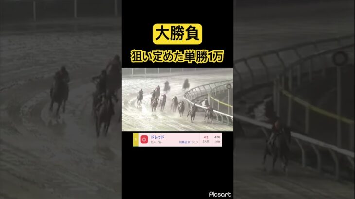 【大勝負】狙いを定めた川島単勝に1万！　#競馬 #競馬予想 #jra #地方競馬 #ウマ娘 #ウマ娘プリティーダービー #ギャンブル #ギャンブル依存症 #武豊 #船橋競馬 #単勝