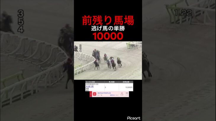 【発狂確定】前残り馬場の大井で逃げ馬の単勝勝負1万！　#競馬予想 #競馬 #jra #地方競馬 #ウマ娘 #ウマ娘プリティーダービー #ギャンブル依存症 #ギャンブル #武豊