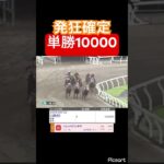 【発狂確定】川崎競馬に単勝1万勝負!! #競馬 #競馬予想#jra #地方競馬 #ギャンブル #ウマ娘 #ウマ娘プリティーダービー #ギャンブル依存症 #武豊 #単勝