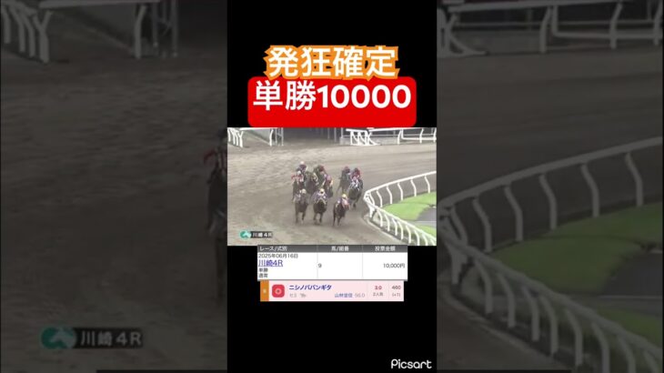 【発狂確定】川崎競馬に単勝1万勝負!! #競馬 #競馬予想#jra #地方競馬 #ギャンブル #ウマ娘 #ウマ娘プリティーダービー #ギャンブル依存症 #武豊 #単勝