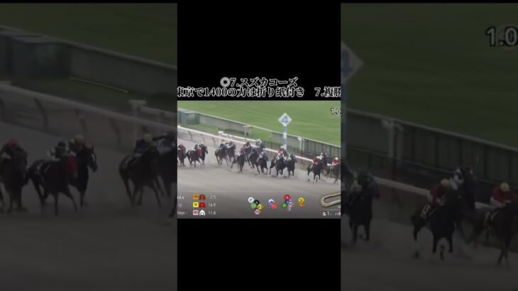 東京10の結果で、ステップ状態ここ当ててジャンプだ #競馬 #競馬結果 #中央競馬予想 #中央競馬 #東京競馬 #東京競馬場 #東京競馬予想