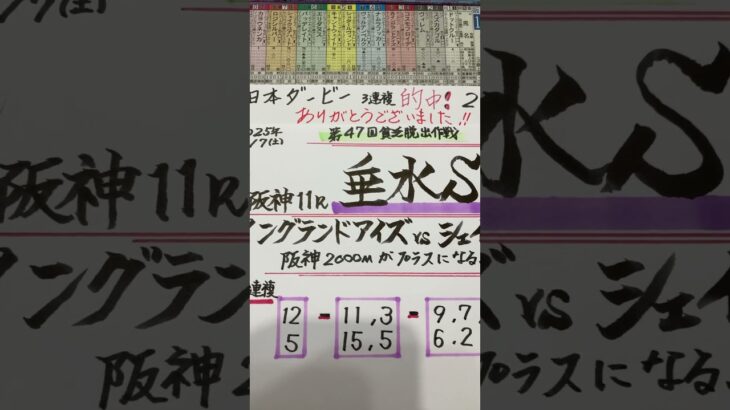 【競馬予想】阪神11R 垂水ステークス🏇日本ダービー的中🎯ありがとう😭