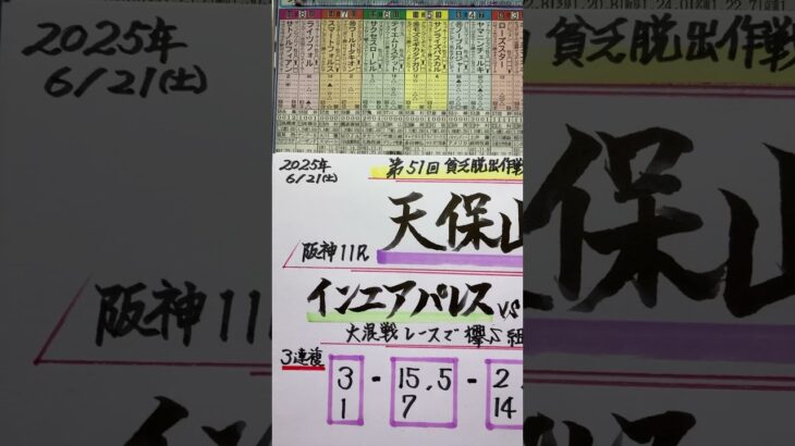 【競馬予想】阪神11R 天保山ステークス🏇夏競馬頑張ります😺❣️