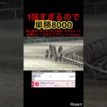 【船橋競馬】船橋12レースのクロワデュノールが強すぎるので単勝8000案件　#競馬 #競馬予想 #jra #地方競馬 #ウマ娘 #ウマ娘プリティーダービー #ギャンブル #ギャンブル依存症 #武豊
