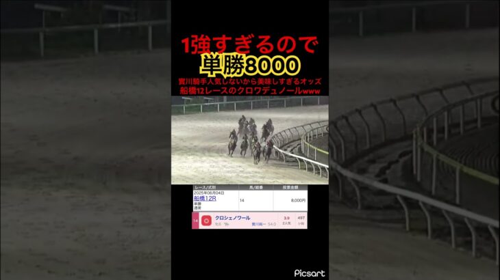 【船橋競馬】船橋12レースのクロワデュノールが強すぎるので単勝8000案件　#競馬 #競馬予想 #jra #地方競馬 #ウマ娘 #ウマ娘プリティーダービー #ギャンブル #ギャンブル依存症 #武豊