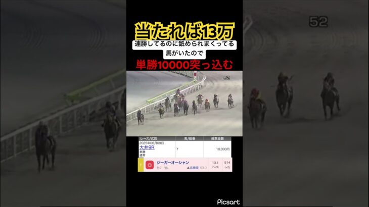 【当たれば13万】このレベルの馬がこのオッズなら単勝ぶっこむしかないでしょ！　#競馬 #競馬予想 #jra #地方競馬 #ウマ娘 #ウマ娘プリティーダービー #ギャンブル #ギャンブル依存症 #武豊