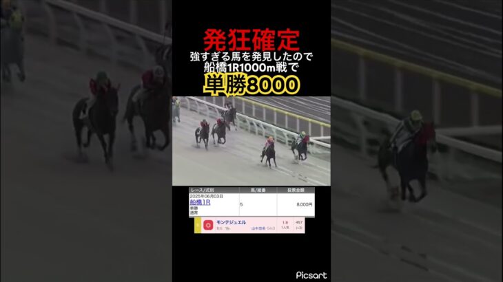 【発狂確定】船橋1レースで強すぎる馬を発見したので単勝8000勝負した結果… #競馬 #競馬予想 #jra #地方競馬 #ウマ娘 #ウマ娘プリティーダービー #ギャンブル #ギャンブル依存症 #武豊