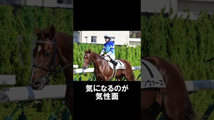 1分で分かるしらさぎS消したい人気馬解説