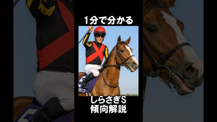 1分で分かるしらさぎS傾向解説