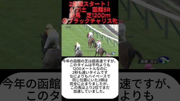有力2歳馬情報　ブラックチャリス牝　#キタサンブラック #競馬予想 #ウマ娘#競馬
