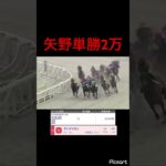【発狂確定】大井競馬で矢野騎手の単勝2万勝負！　#競馬 #競馬予想 #jra #地方競馬 #ウマ娘 #ウマ娘プリティーダービー #ギャンブル #ギャンブル依存症 #武豊 #大井競馬