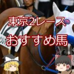 【東京2レース】おすすめ馬ウインレアリゼ#競馬 #競馬予想 #shorts