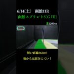【買っちゃえばいいじゃん】函館スプリントステークス(ＧⅢ) 2025 #競馬予想