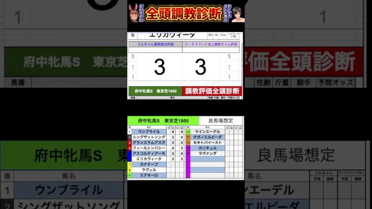 #府中牝馬ステークス2025 #競馬予想ハイライト #全頭診断 #エリカヴィータ　#カナテープ