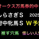 【競馬予想】　しらさぎステークス　府中牝馬ステークス　予想　2025