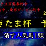【競馬予想】　地方交流重賞　さきたま杯　予想　2025