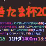 さきたま杯2025予想【浦和競馬】全頭診断＋調教診断＋調教診断＋買い目