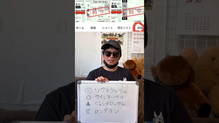 競馬予想【安田記念2025】マイル頂上決戦！実績最上位のソウルラッシュなのか？